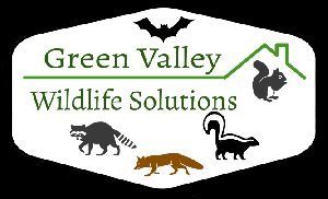 Green Valley Wildlife Solutions