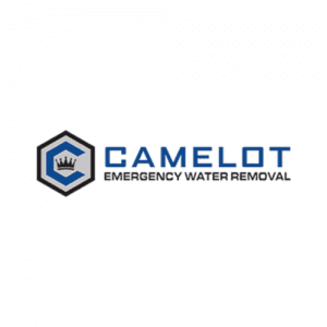 camelotservice.logo