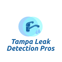 Tampa Leak Detection Pros