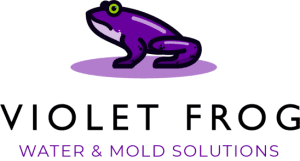 e95f5436e167-violet_frog_Mold_Testing_Atlanta