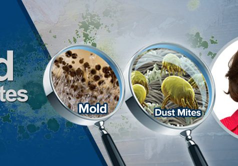 mold-dustmites-odor-banner