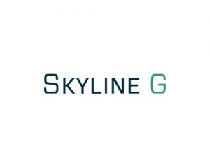 Skyline G – Executive Coaching & Leadership Development