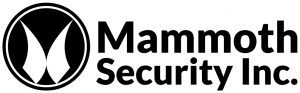 Mammoth Security Inc. New Britain