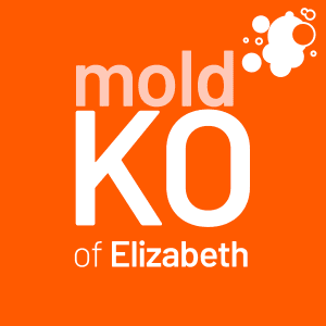 Mold KO of Elizabeth