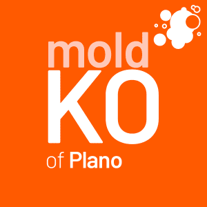 Mold KO of Plano