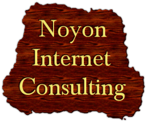 Noyon Internet Consulting