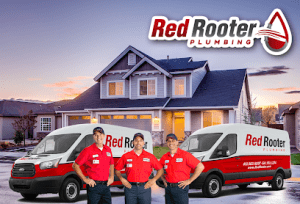 Red-rooter